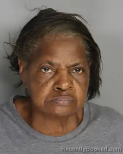Mugshot of Willie Mae Mincey booked in Aiken County, South Carolina on August 31, 2026
