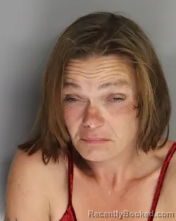 Mugshot of JAMIE LOWER