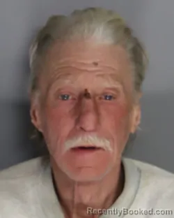 Mugshot of ROBERT HAMM