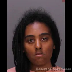 Mugshot of CHRYSTAL STEWARD