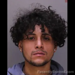 Mugshot of KEVIN JOSE CALIXTO AGUILAR