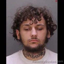 Mugshot of DAVID MICAH FAHY-GLOVER