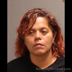 Mugshot of JACKELINE ROMAN booked in Northampton County, Pennsylvania on July 3, 2026