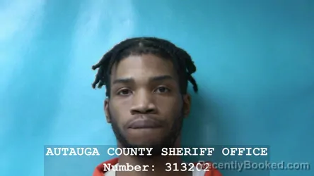 Mugshot of NAZIR CRAIG NETTLES