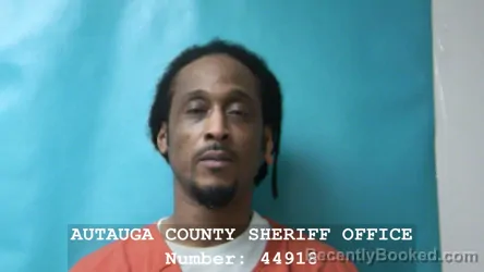 Mugshot of ANTHONY DARRELL MCLEMORE