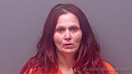 Mugshot of Erica Diane Nelson booked in Baldwin County, Alabama on August 18, 2026