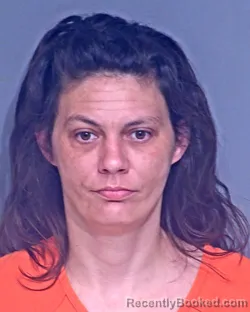 Mugshot of BRANDY RENEE JOINER
