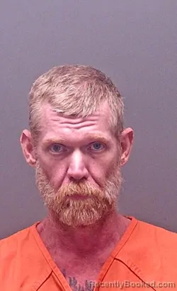 Mugshot of DAMON ANTHONY LANE