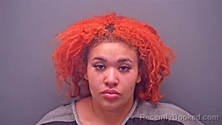 Mugshot of PARIS SKYE BROWN