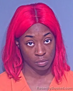 Mugshot of KELSEY CHEYENNE ROX booked in Baldwin County, Alabama on May 4, 2026