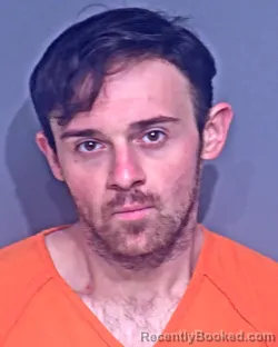 Mugshot of CHRISTAIN NATHANIEL HAVARD