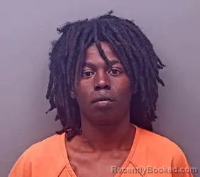 Mugshot of DEANTE LAMAR PALMER