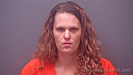 Mugshot of MELONIE DONISE GUIN