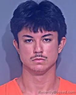 Mugshot of ROMAN JOSUE MCGOUGH