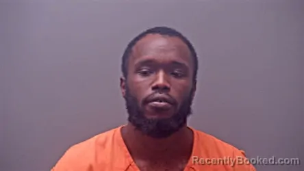 Mugshot of PATRICK ALEXANDER JOHNSON