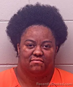 Mugshot of Brittany Renae Hill booked in Baldwin County, Alabama on August 22, 2026