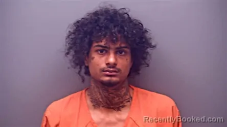 Booking photo from Baldwin County, Alabama