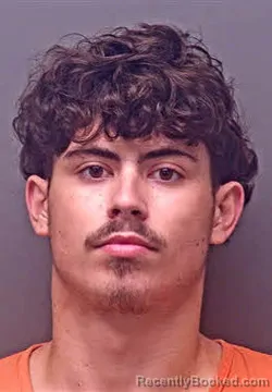 Mugshot of PAUL ROBERT MCFARLING