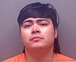 Mugshot of LISANDRO EMANUEL TORRES FLORES