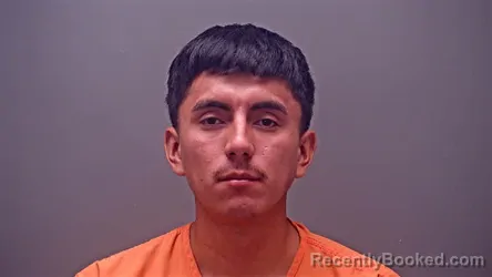 Mugshot of FRANCISCO JOSE CASTILLO-FERNANDEZ