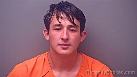 Mugshot of JOSE DENILSO MEJIA-SOLIS