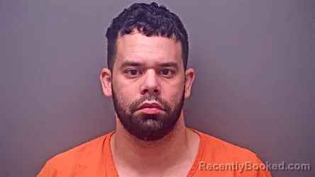 Mugshot of RAIDEL DIAZ