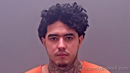 Mugshot of JOSE ARNALDO PIRES-NAVAS