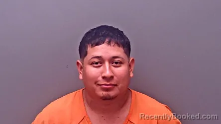 Mugshot of LUIS ALFARO-VELASCO