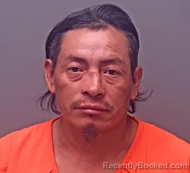 Mugshot of DELMIS DAVID RAMIRES