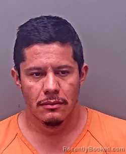 Mugshot of CESAR ALFREDO FERNANDEZ-SIERRA