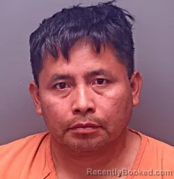 Mugshot of PEDRO ICAL-CHOC booked in Baldwin County, Alabama on March 19, 2026