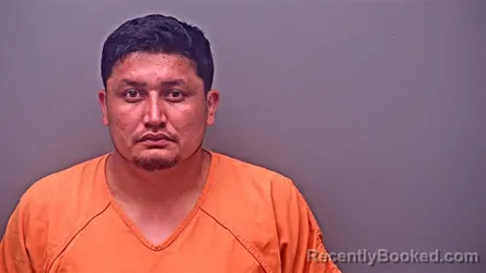 Mugshot of DENIS VILLAGRA-ESPINAL booked in Baldwin County, Alabama on March 24, 2026