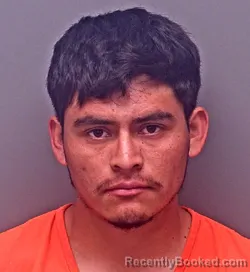 Mugshot of ANTONY YOUI ALVARADO booked in Baldwin County, Alabama on April 25, 2026