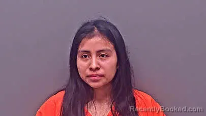 Mugshot of MARIA CORTEZ-GOMEZ booked in Baldwin County, Alabama on June 27, 2026