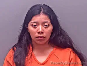 Mugshot of CINDY VALLEJO-APOLINAR booked in Baldwin County, Alabama on July 5, 2026