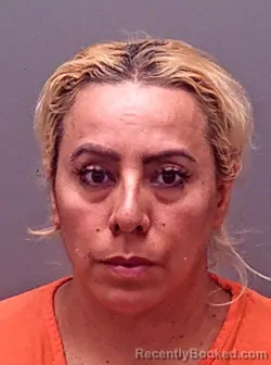 Mugshot of Erika M Ibarra booked in Baldwin County, Alabama on August 23, 2026