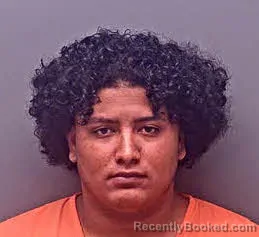 Mugshot of Yani Emil Antunez-Antunez booked in Baldwin County, Alabama on October 12, 2026