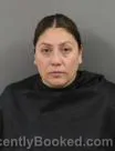 Mugshot of DIANA LIZBETH VAZQUEZ-SANCHEZ