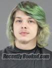 Booking photo from Anderson County, South Carolina