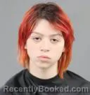 Mugshot of NATALIE ZORA HUDSON booked in Anderson County, South Carolina on July 20, 2026