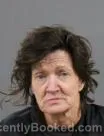 Mugshot of TERESA KAY BROWN booked in Anderson County, South Carolina on May 15, 2026