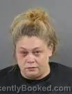 Mugshot of Tara Ashley Froggatt booked in Anderson County, South Carolina on September 5, 2026