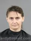 Mugshot of VANESSA BRENDA REED booked in Anderson County, South Carolina on May 27, 2026
