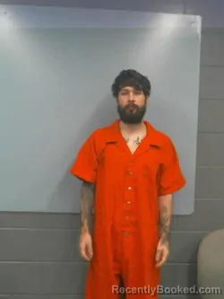 Mugshot of DAKOTA BLUE ROBERTSON