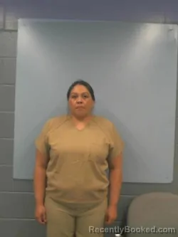 Mugshot of ELISABETH MARIE RIOS