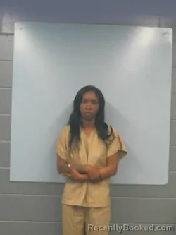 Mugshot of MEGAN YVONNE WHEELER