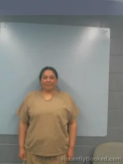 Mugshot of ELISABETH MARIE RIOS