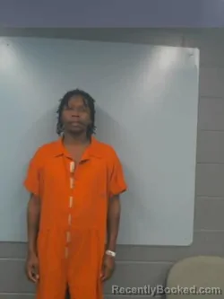 Mugshot of JOE JENKINS