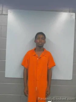 Mugshot of JAQUAVION LAMAR RICHARDSON booked in Barbour County, Alabama on July 31, 2026