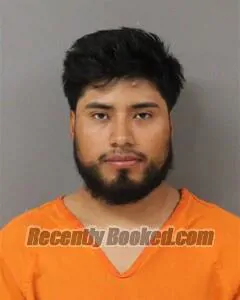 Booking photo from Blount County, Alabama